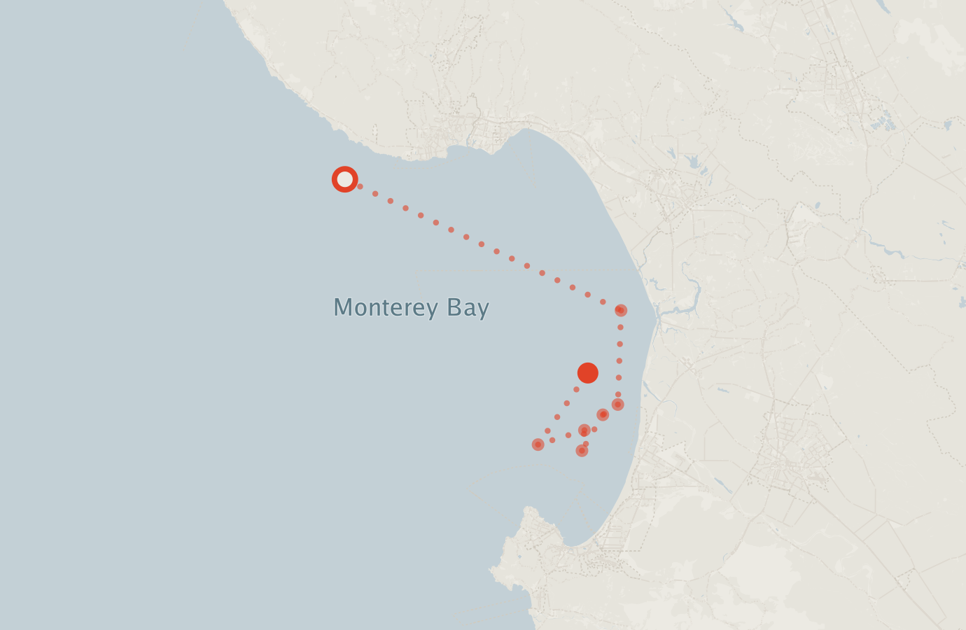 Activity map — real sighting points on an OpenStreetMap basemap