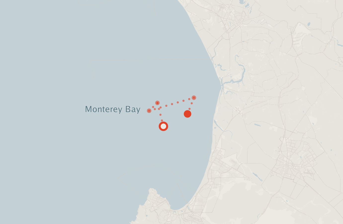 Activity map — real sighting points on an OpenStreetMap basemap