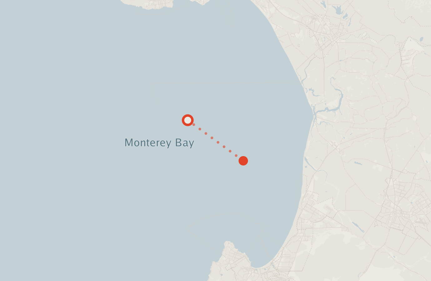 Activity map — real sighting points on an OpenStreetMap basemap