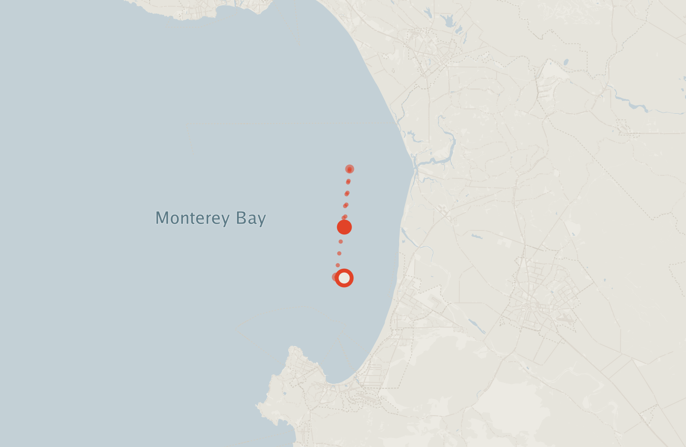 Activity map — real sighting points on an OpenStreetMap basemap