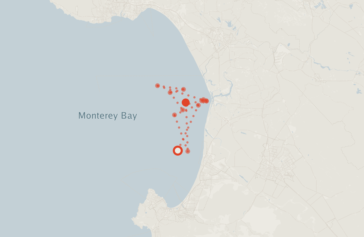 Activity map — real sighting points on an OpenStreetMap basemap