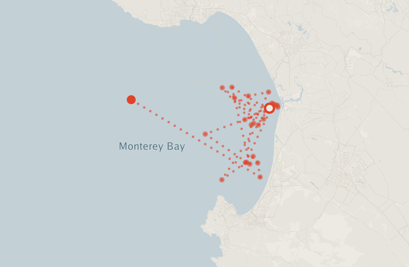 Activity map — real sighting points on an OpenStreetMap basemap