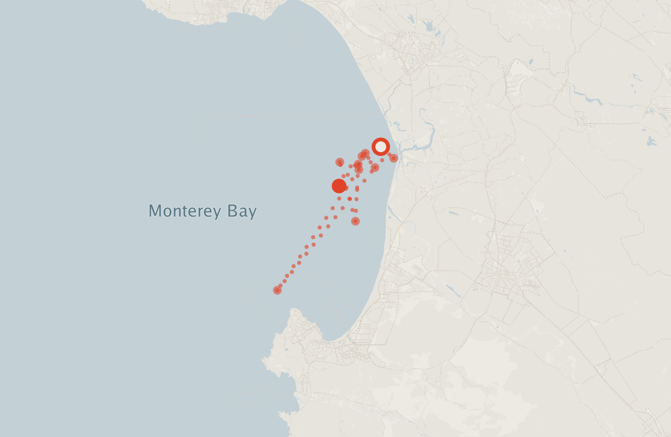 Activity map — real sighting points on an OpenStreetMap basemap