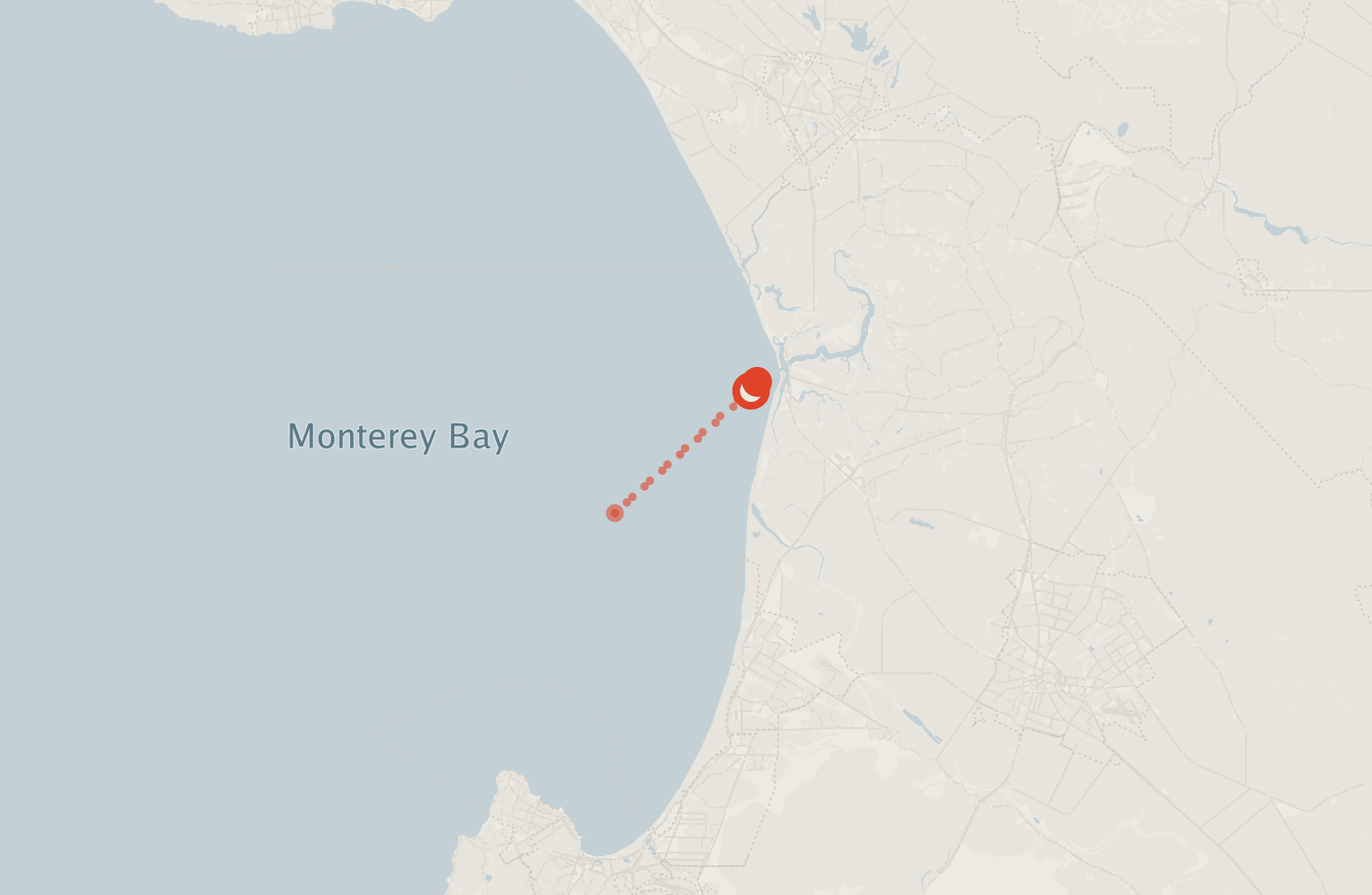 Activity map — real sighting points on an OpenStreetMap basemap