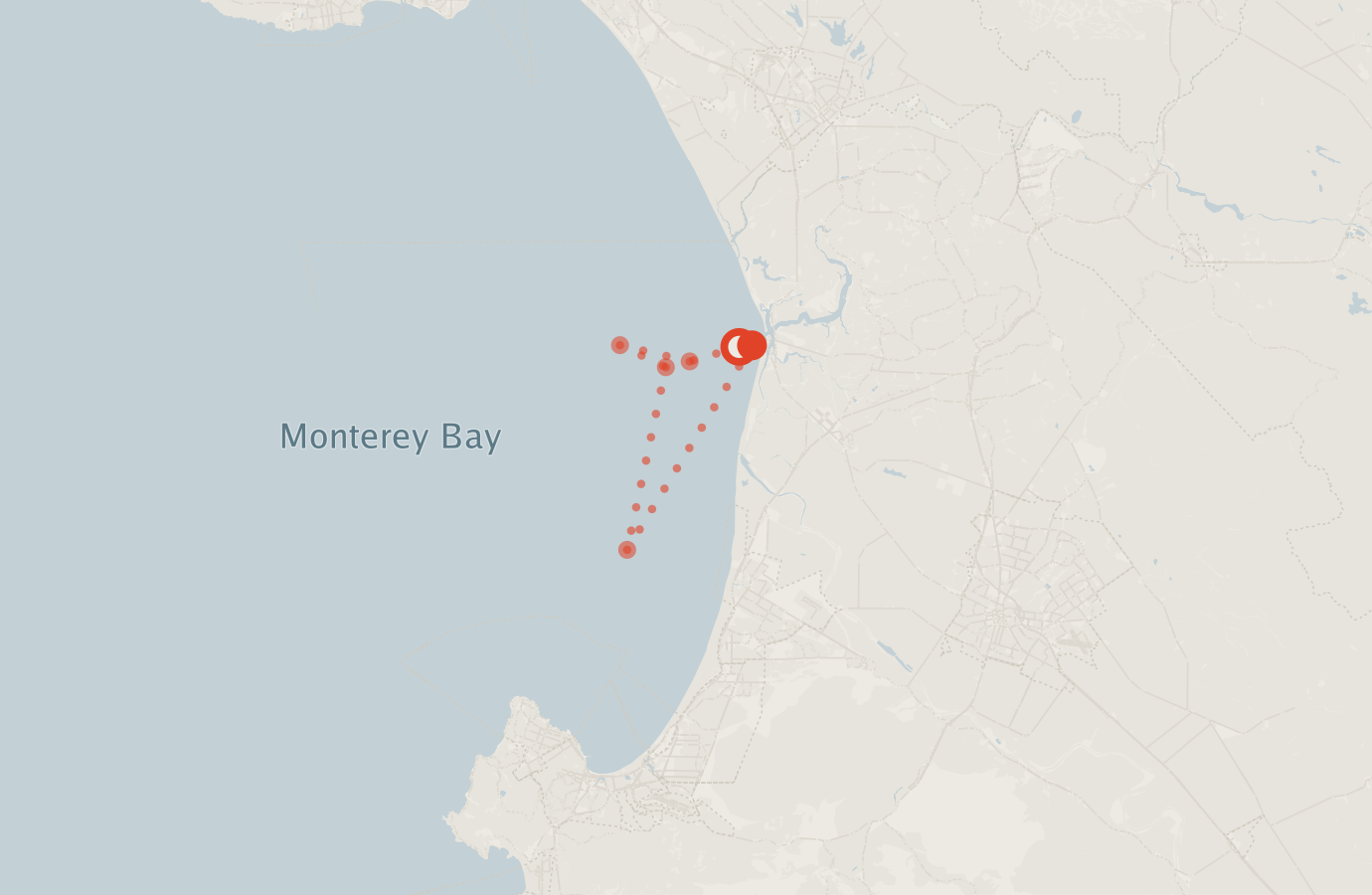 Activity map — real sighting points on an OpenStreetMap basemap