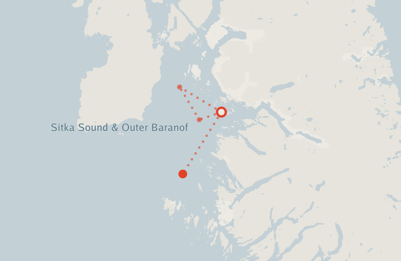 Activity map — real sighting points on an OpenStreetMap basemap