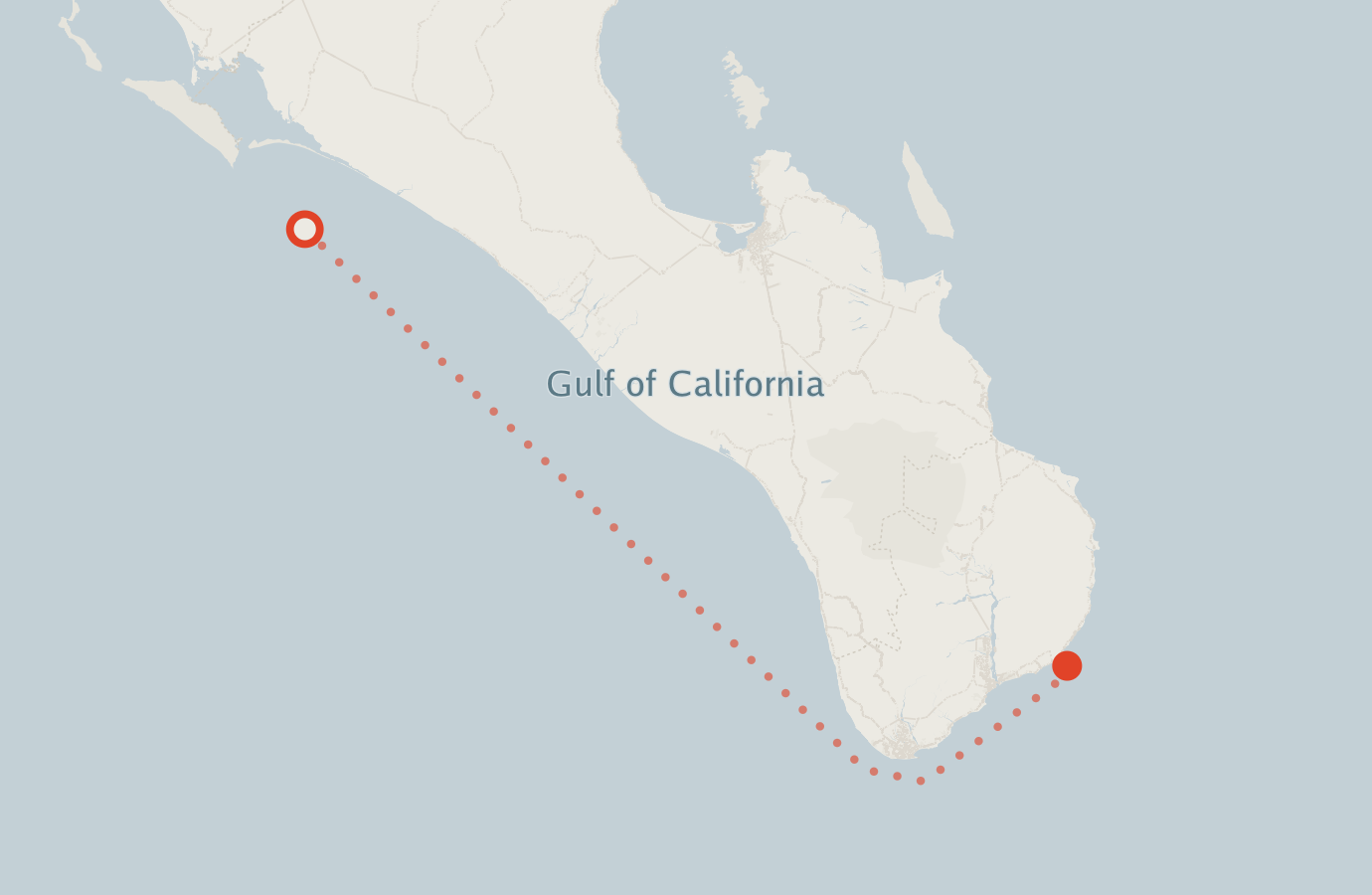 Activity map — real sighting points on an OpenStreetMap basemap