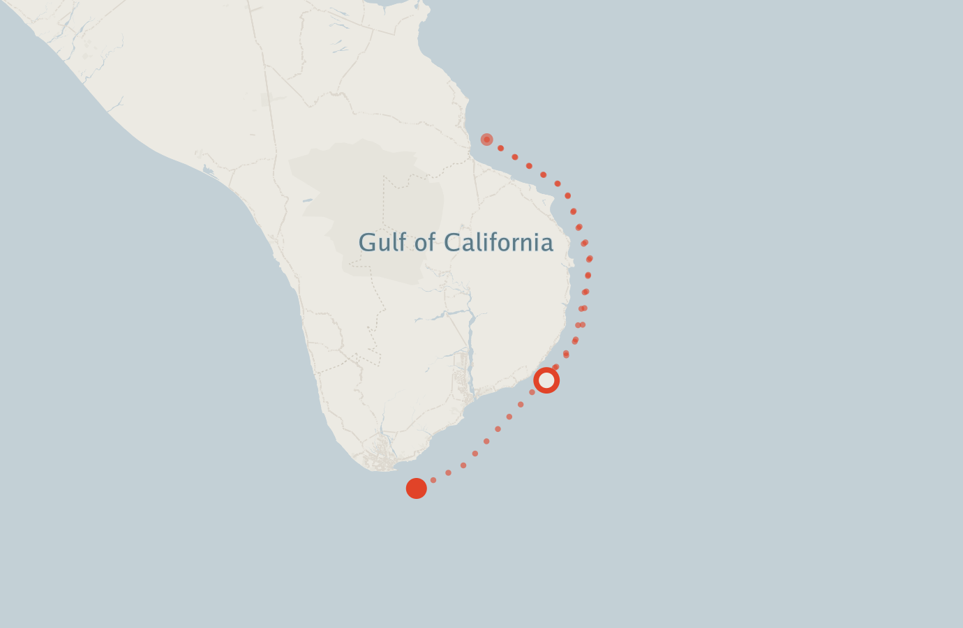 Activity map — real sighting points on an OpenStreetMap basemap