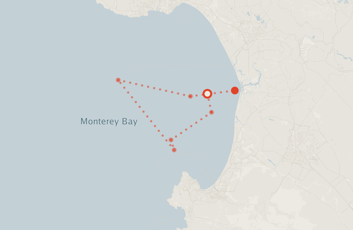 Activity map — real sighting points on an OpenStreetMap basemap