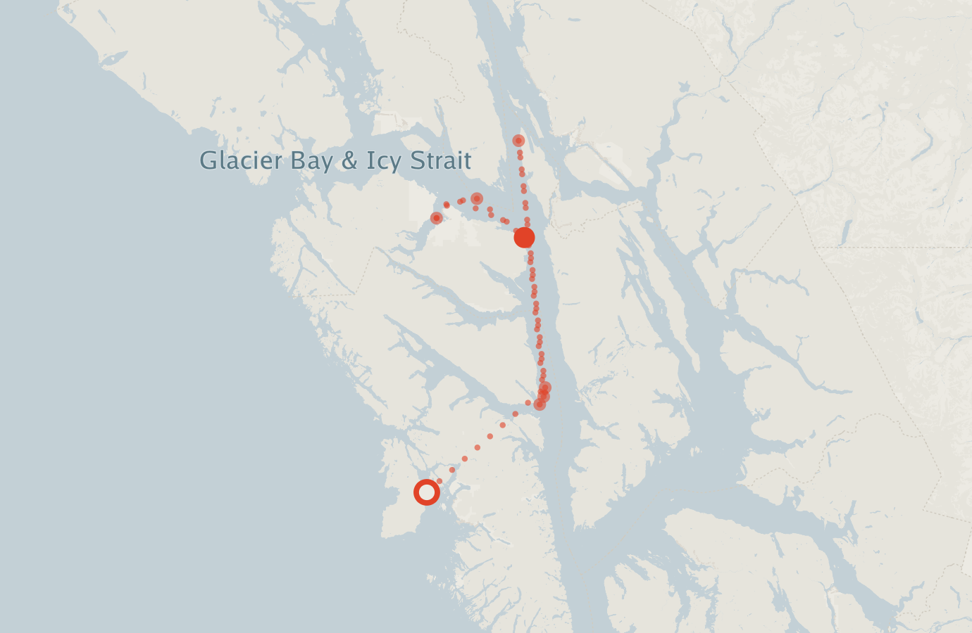 Activity map — real sighting points on an OpenStreetMap basemap