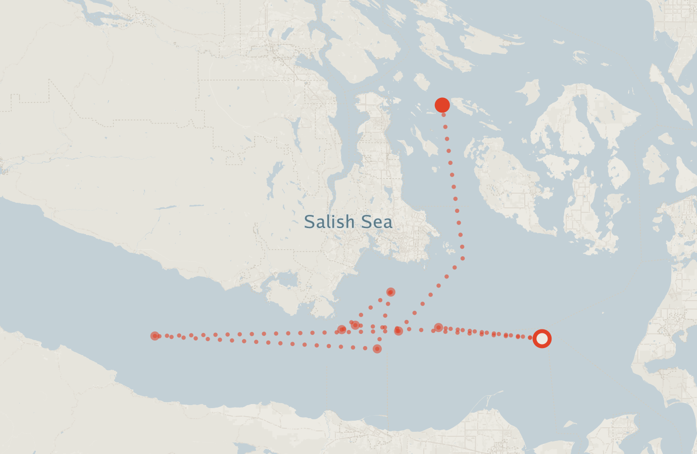 Activity map — real sighting points on an OpenStreetMap basemap