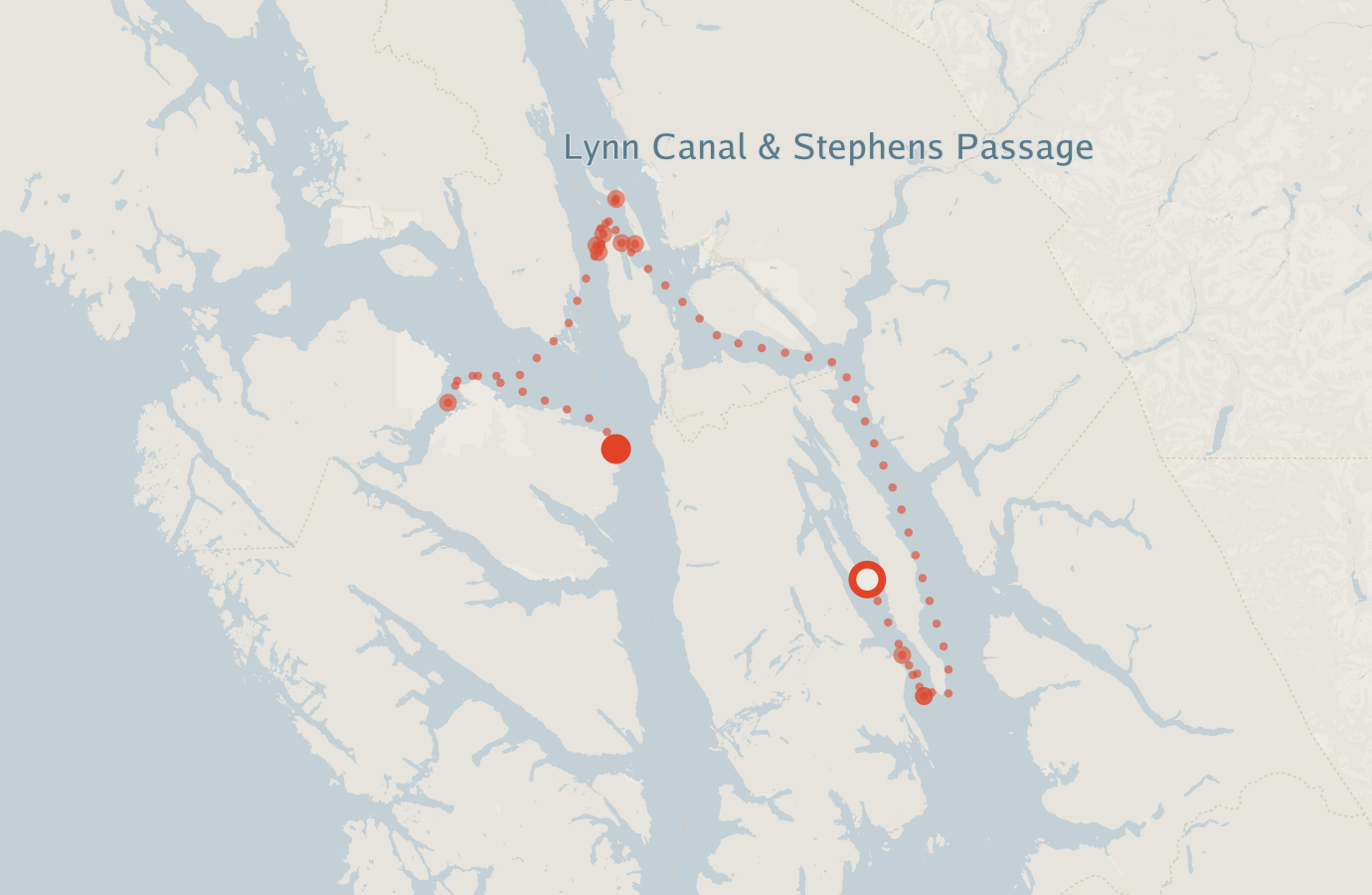 Activity map — real sighting points on an OpenStreetMap basemap