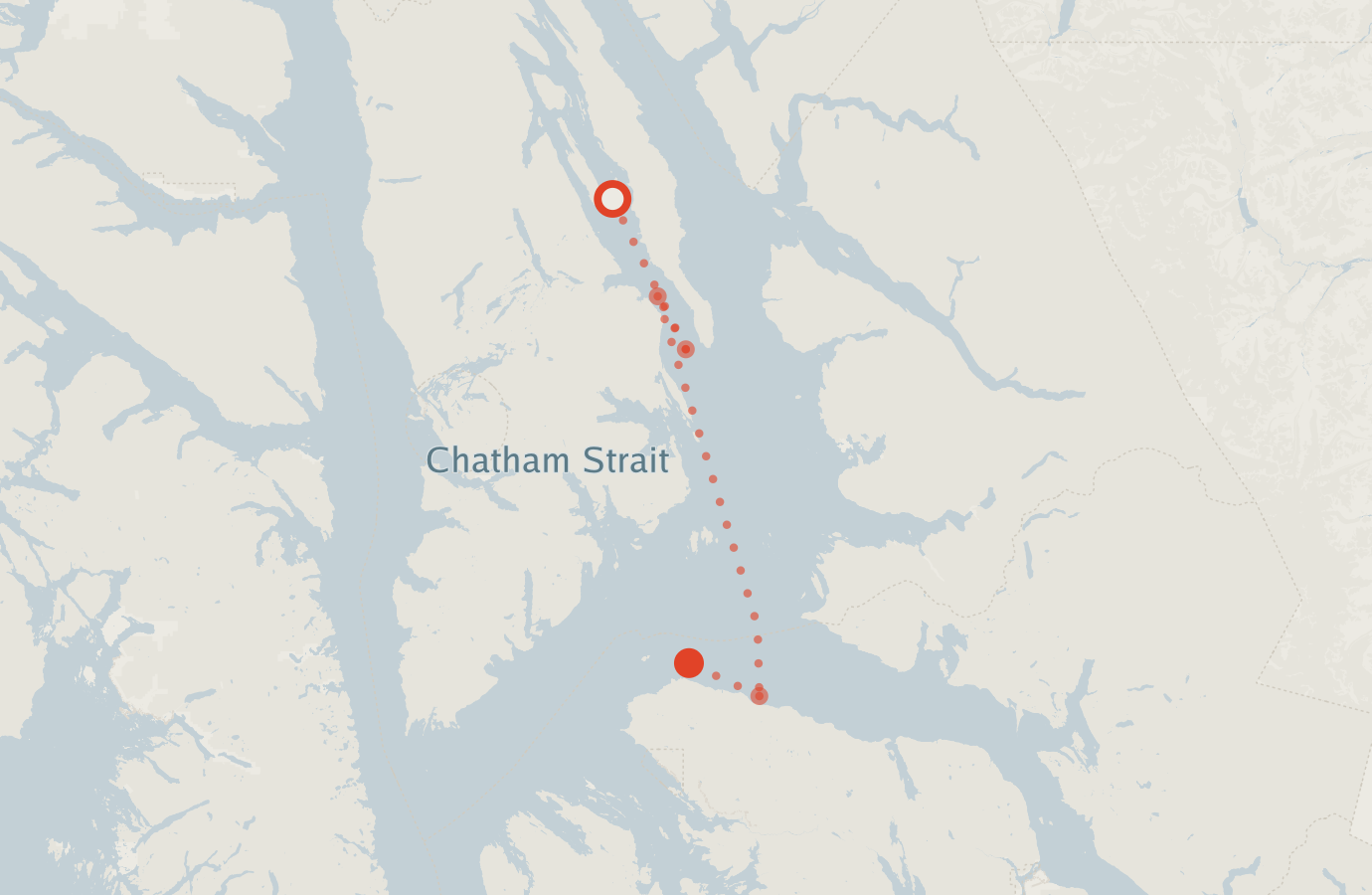Activity map — real sighting points on an OpenStreetMap basemap