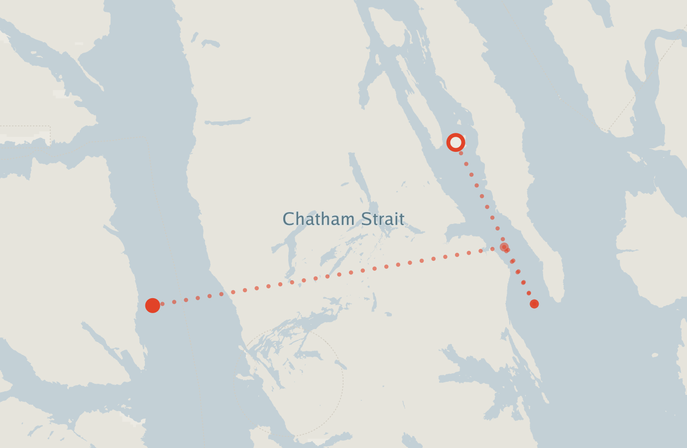 Activity map — real sighting points on an OpenStreetMap basemap