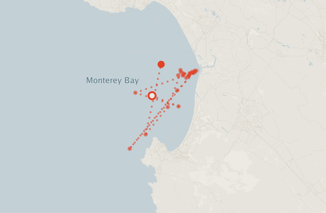 Activity map — real sighting points on an OpenStreetMap basemap