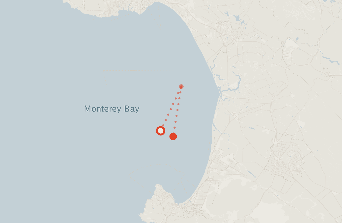 Activity map — real sighting points on an OpenStreetMap basemap