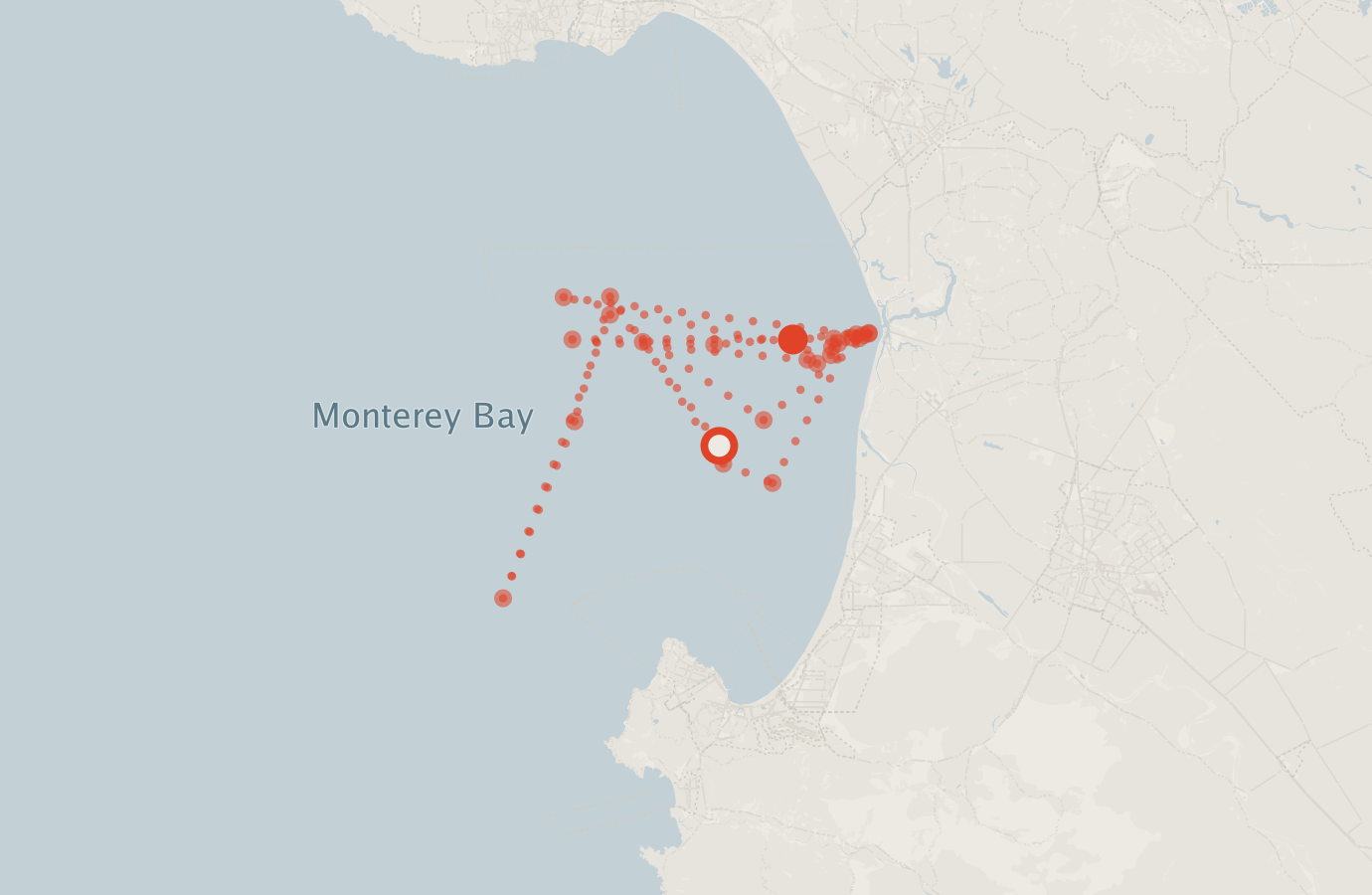 Activity map — real sighting points on an OpenStreetMap basemap