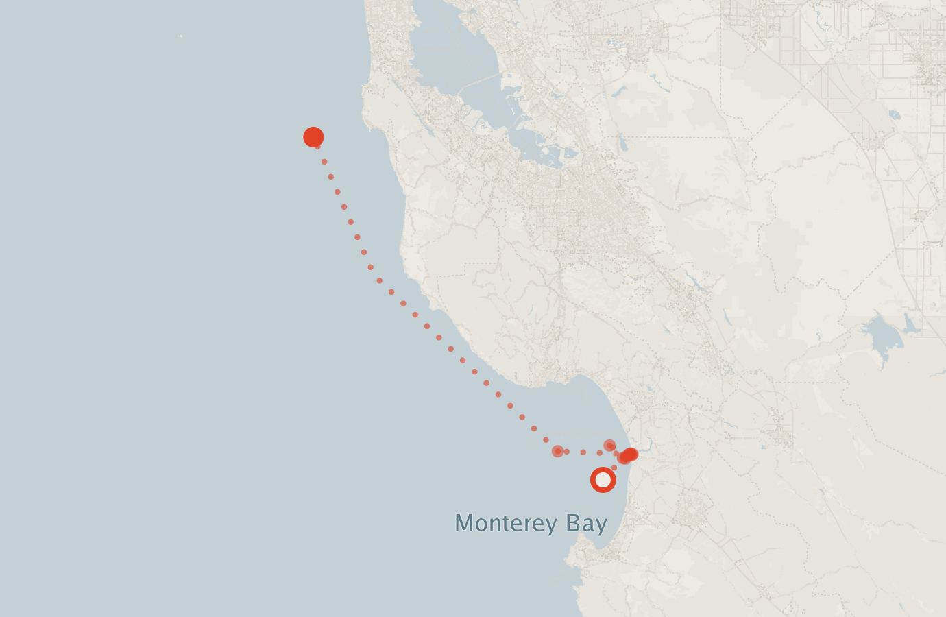 Activity map — real sighting points on an OpenStreetMap basemap