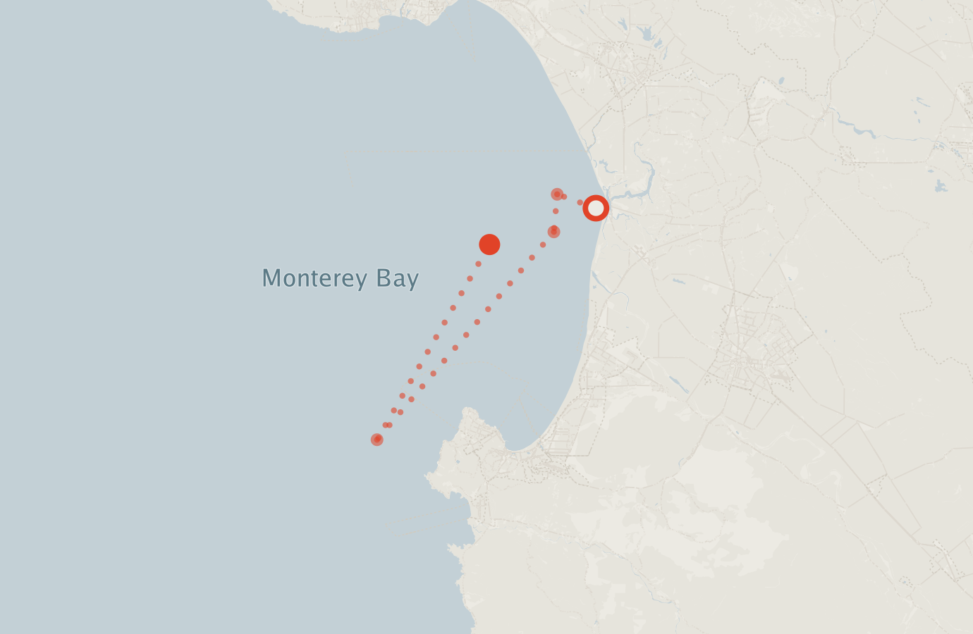 Activity map — real sighting points on an OpenStreetMap basemap