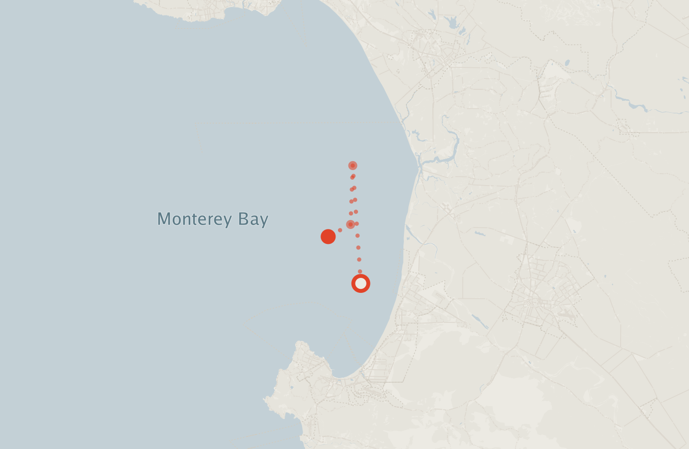 Activity map — real sighting points on an OpenStreetMap basemap