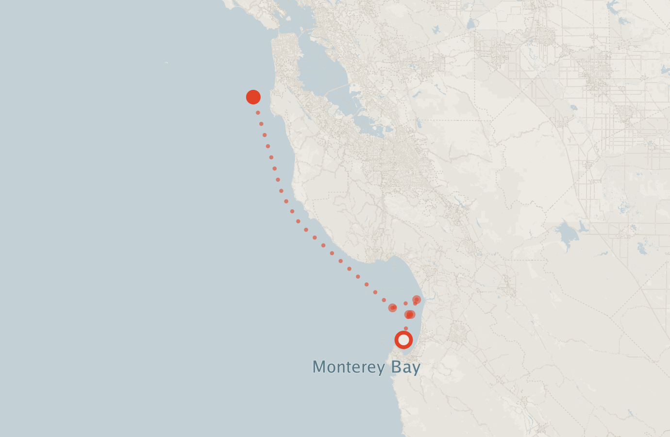 Activity map — real sighting points on an OpenStreetMap basemap