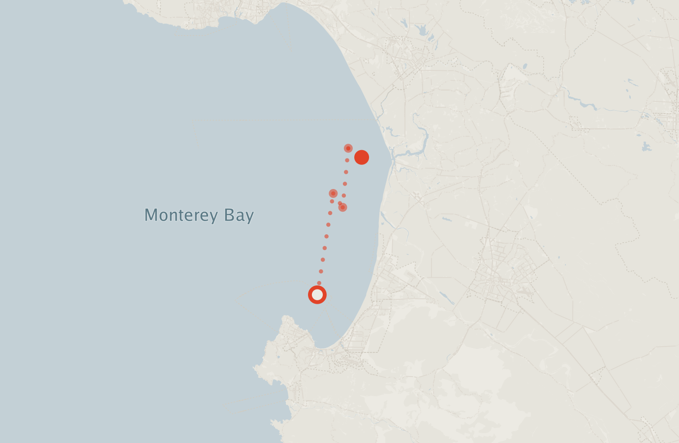 Activity map — real sighting points on an OpenStreetMap basemap