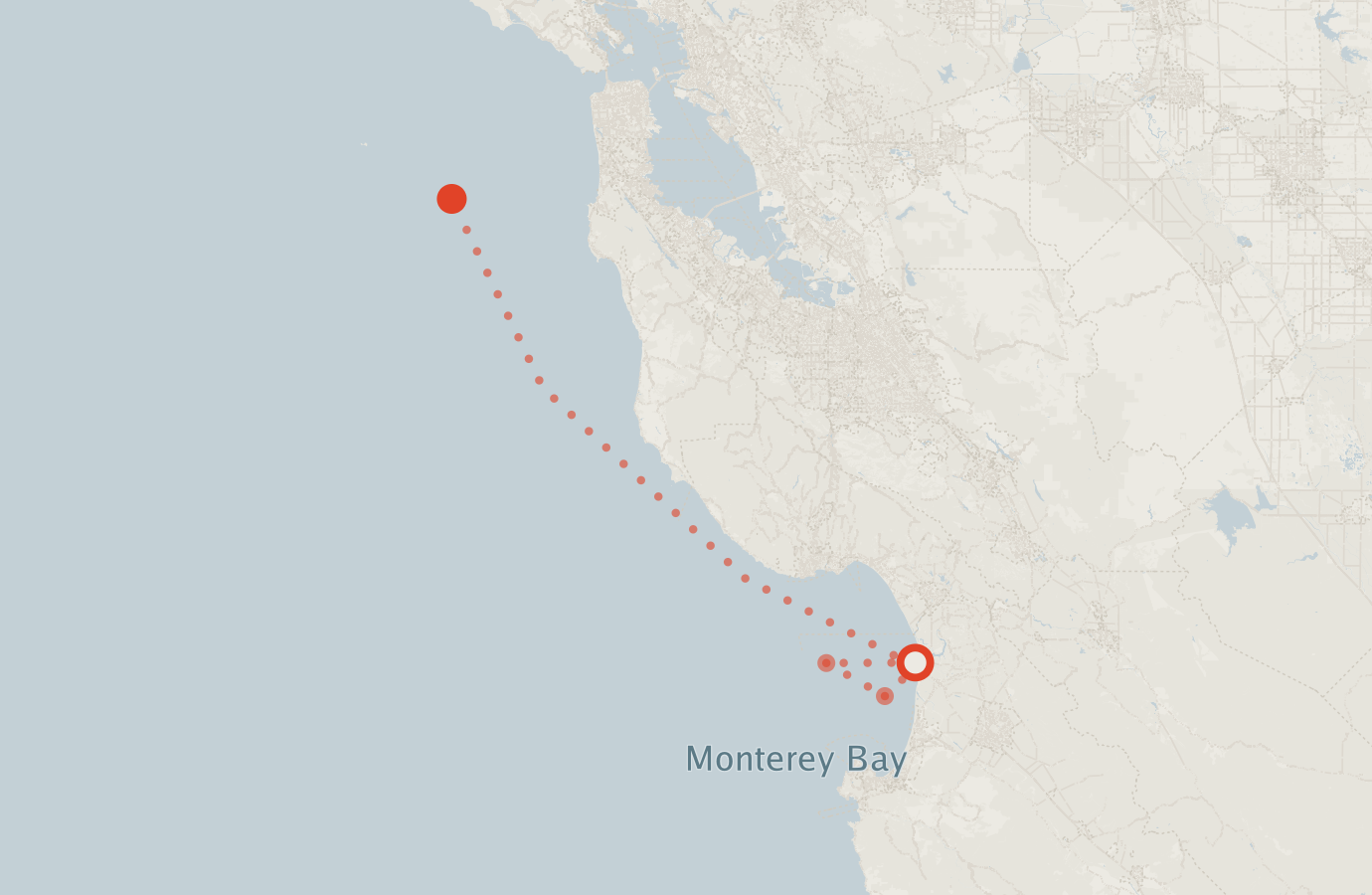 Activity map — real sighting points on an OpenStreetMap basemap