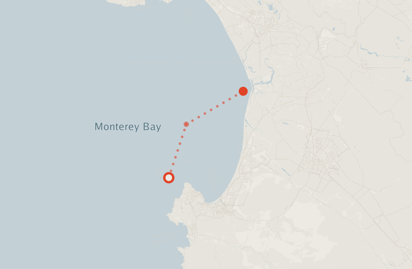 Activity map — real sighting points on an OpenStreetMap basemap