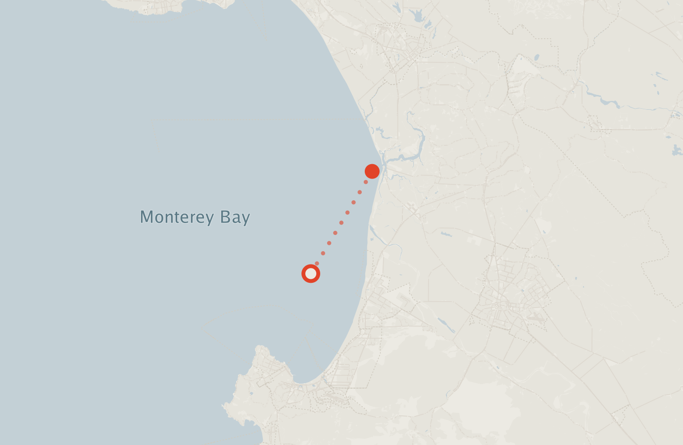 Activity map — real sighting points on an OpenStreetMap basemap