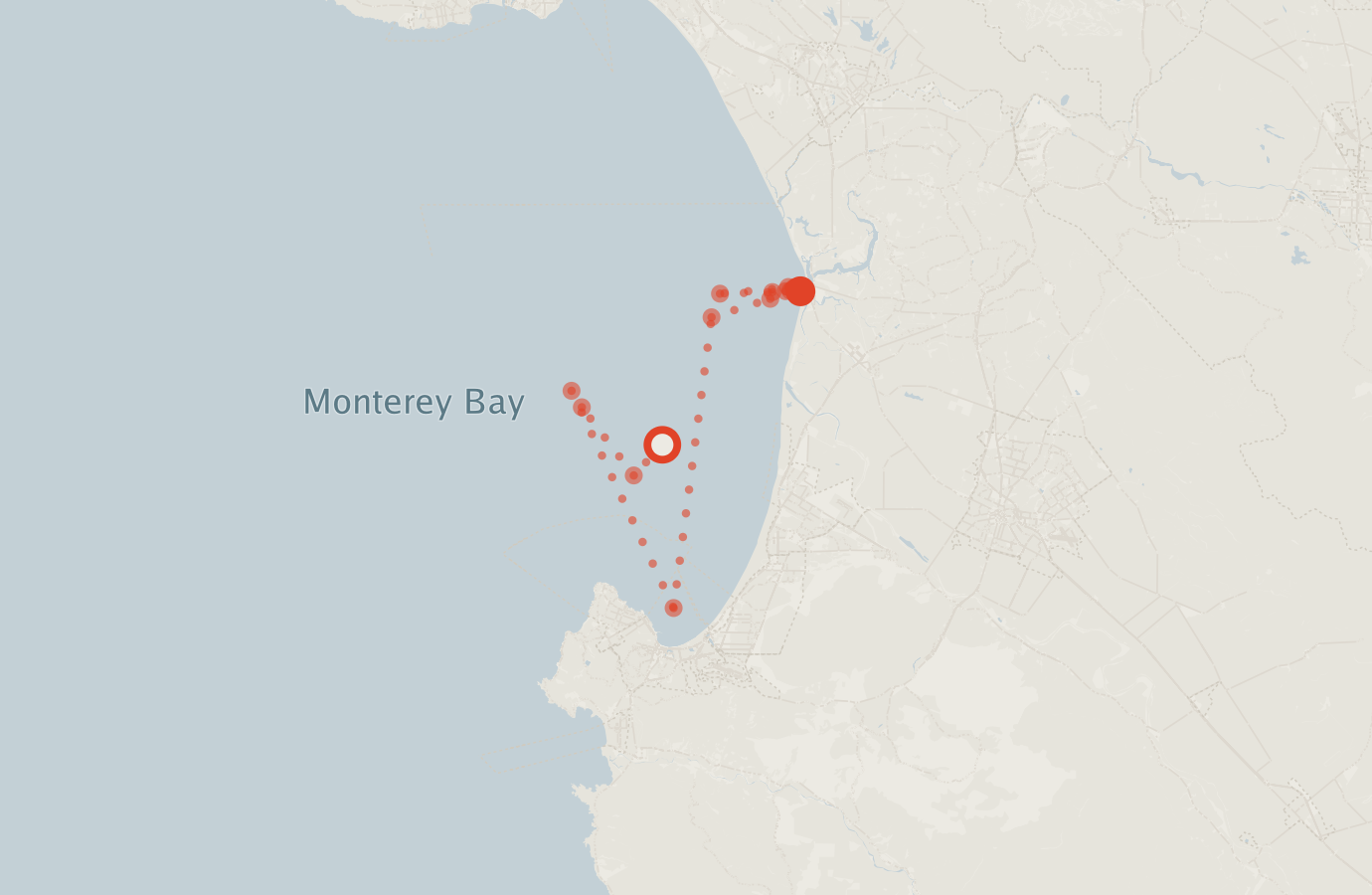 Activity map — real sighting points on an OpenStreetMap basemap