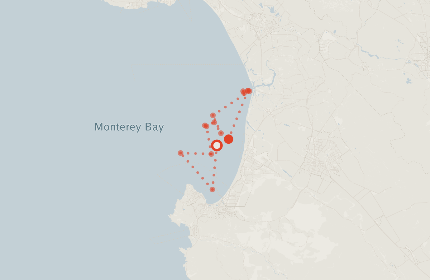 Activity map — real sighting points on an OpenStreetMap basemap