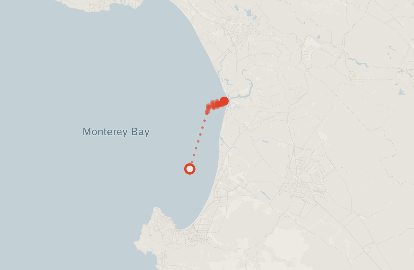 Activity map — real sighting points on an OpenStreetMap basemap