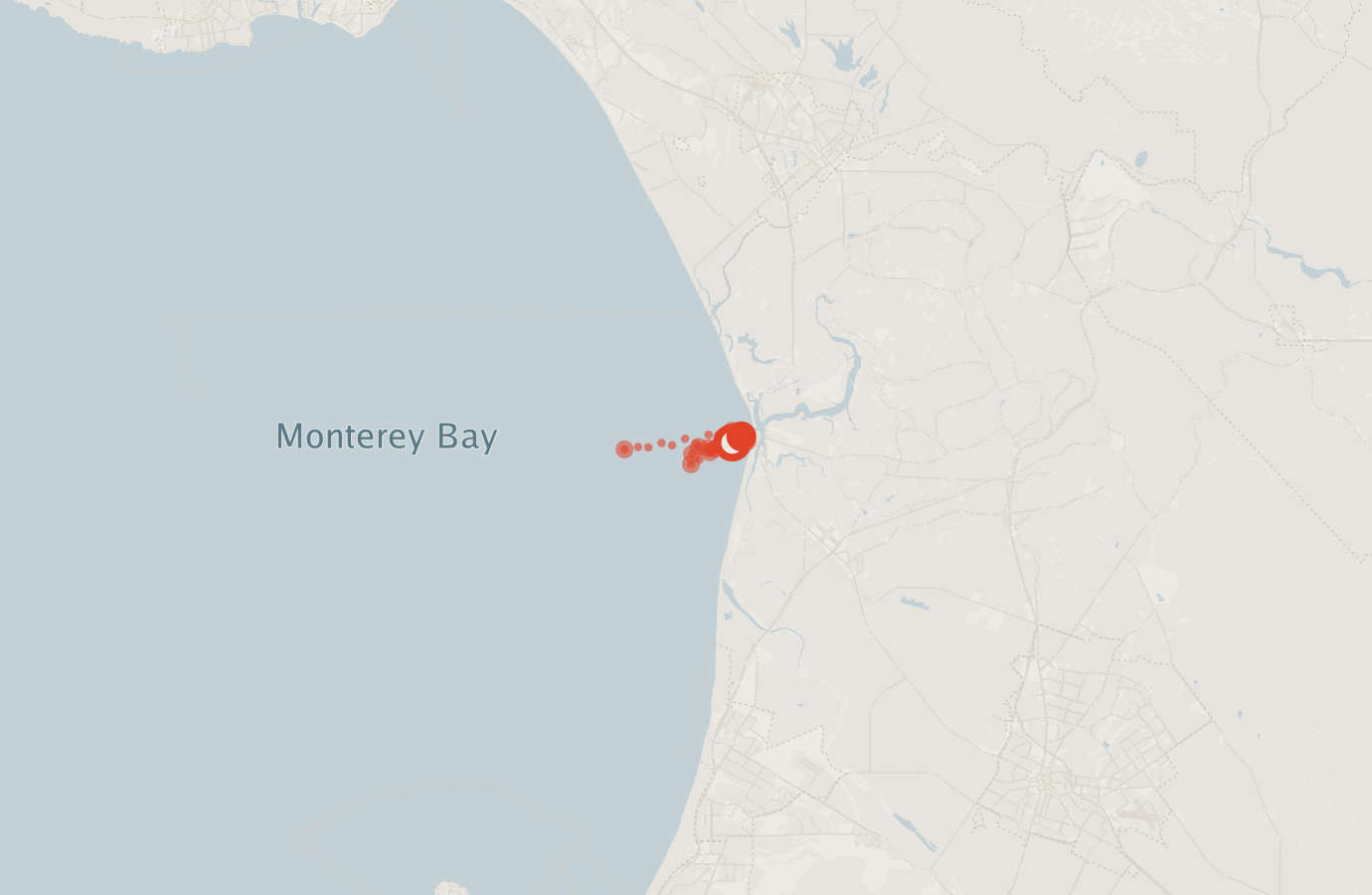 Activity map — real sighting points on an OpenStreetMap basemap