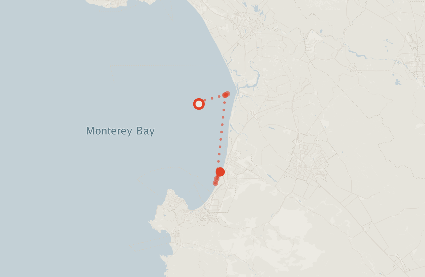 Activity map — real sighting points on an OpenStreetMap basemap