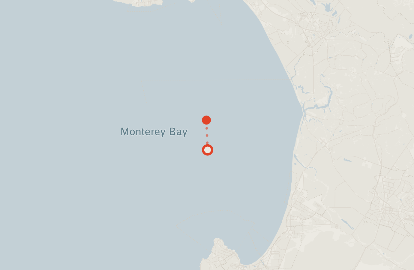 Activity map — real sighting points on an OpenStreetMap basemap