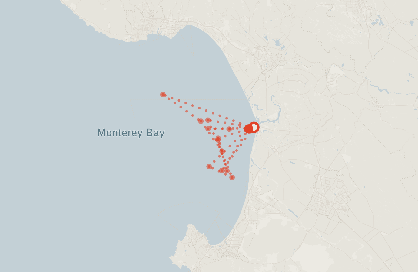 Activity map — real sighting points on an OpenStreetMap basemap