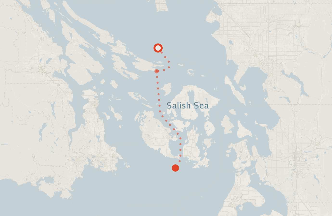 Activity map — real sighting points on an OpenStreetMap basemap