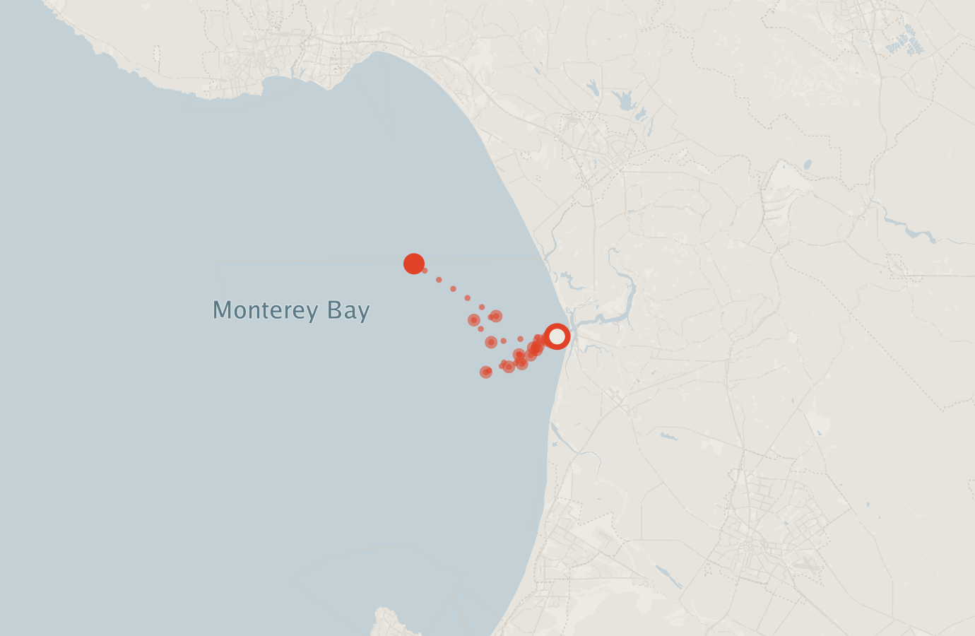 Activity map — real sighting points on an OpenStreetMap basemap