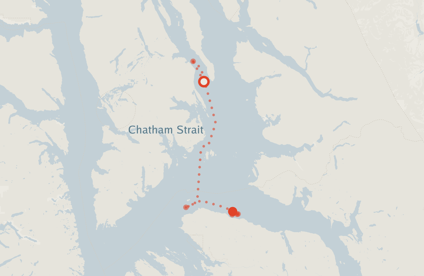 Activity map — real sighting points on an OpenStreetMap basemap