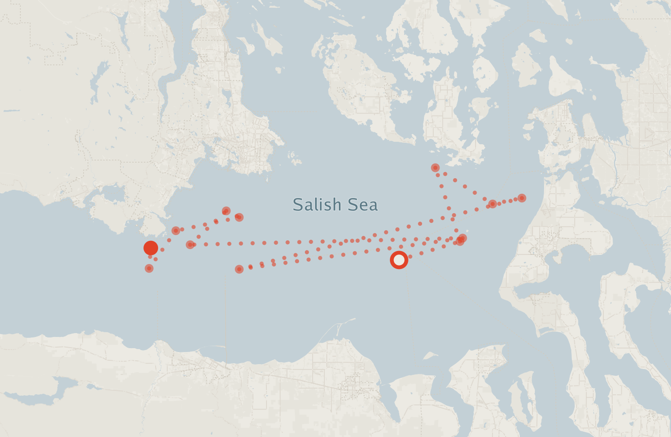 Activity map — real sighting points on an OpenStreetMap basemap