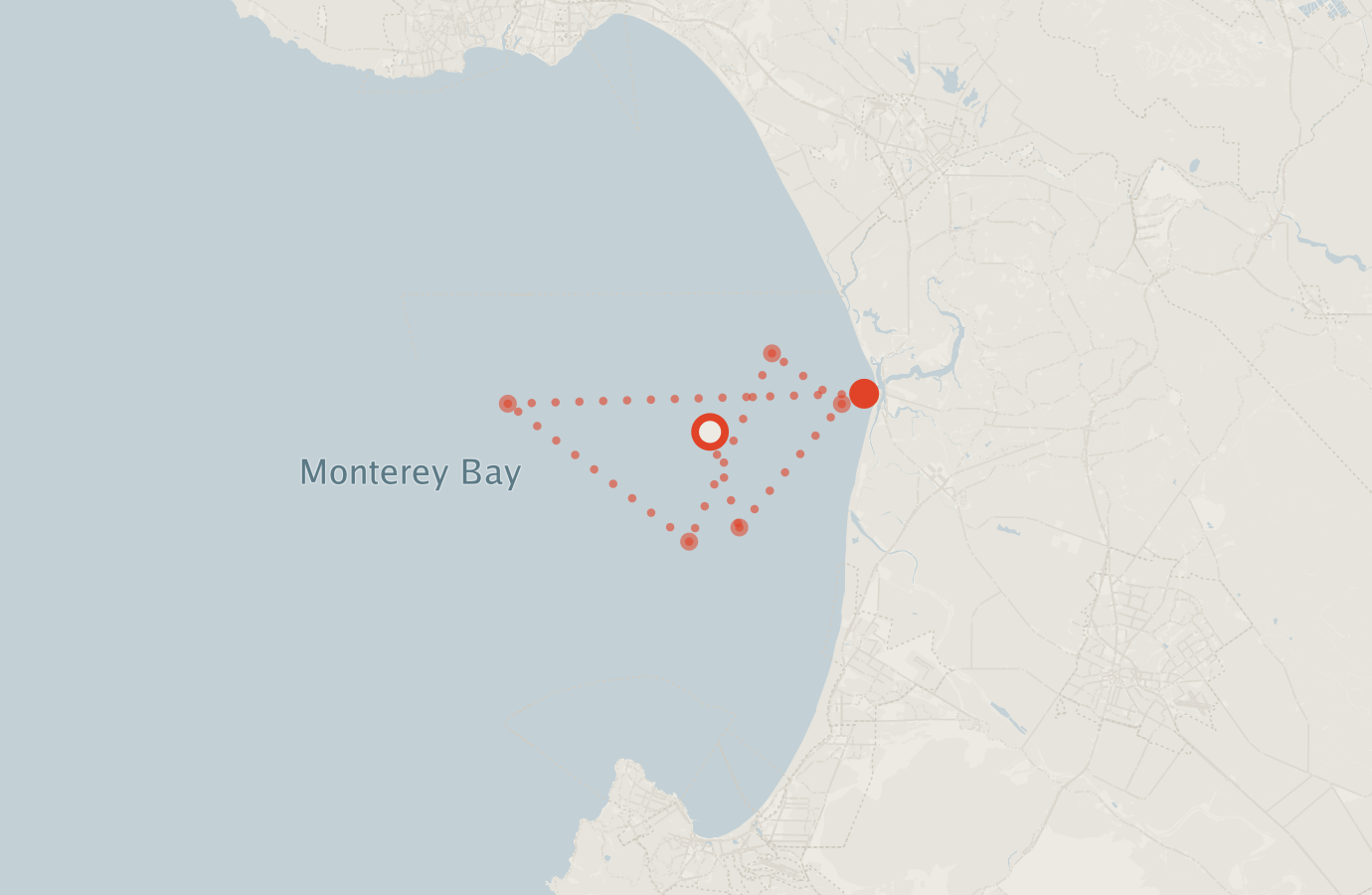 Activity map — real sighting points on an OpenStreetMap basemap