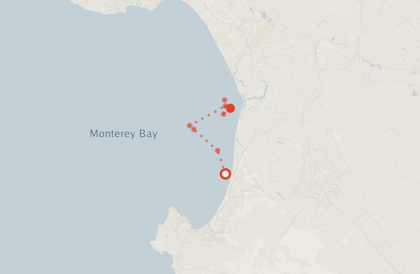 Activity map — real sighting points on an OpenStreetMap basemap