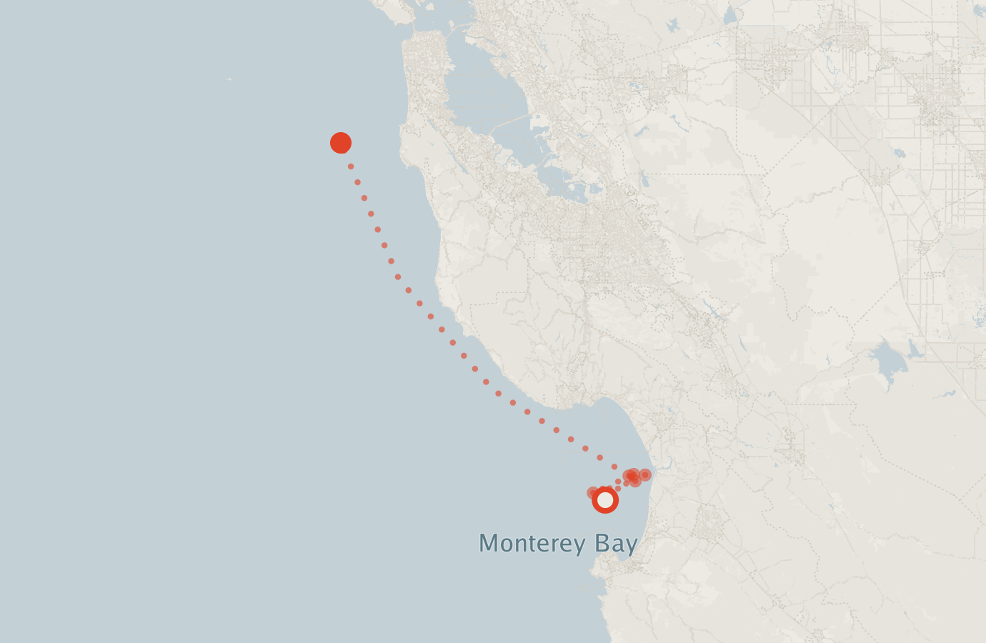 Activity map — real sighting points on an OpenStreetMap basemap