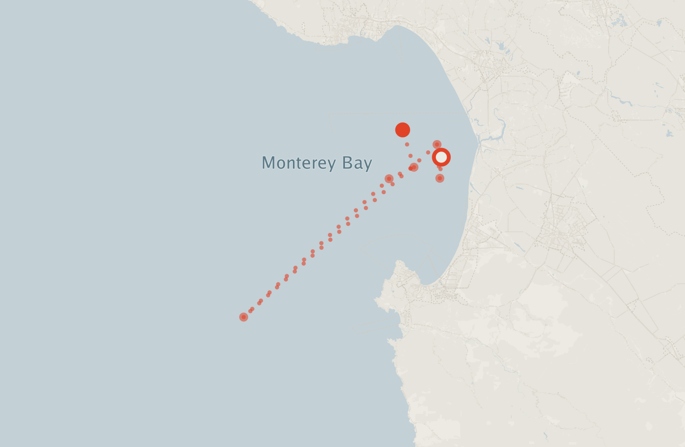 Activity map — real sighting points on an OpenStreetMap basemap