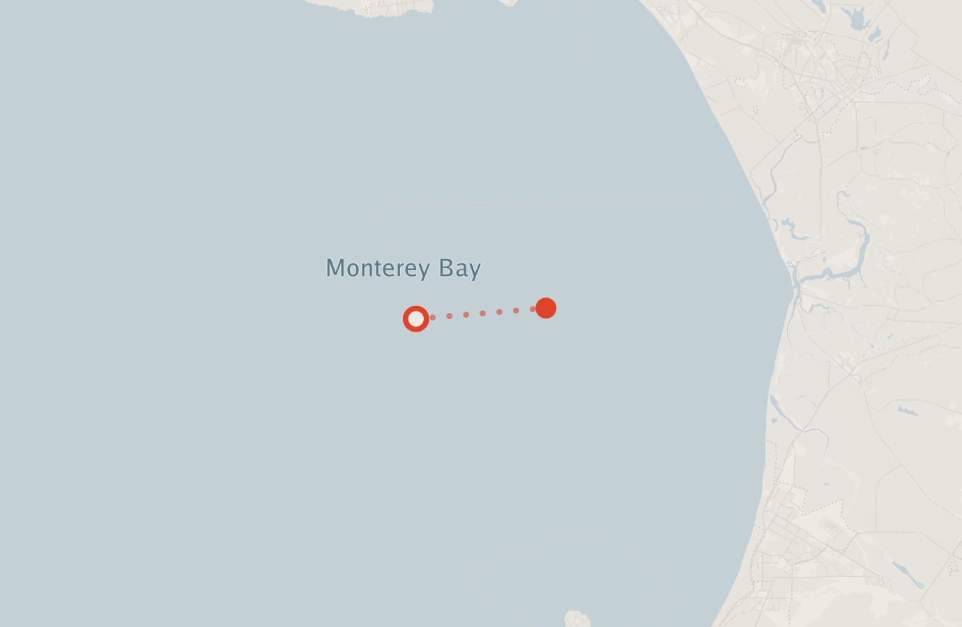 Activity map — real sighting points on an OpenStreetMap basemap