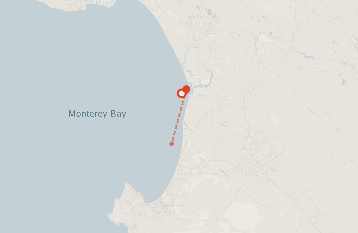 Activity map — real sighting points on an OpenStreetMap basemap