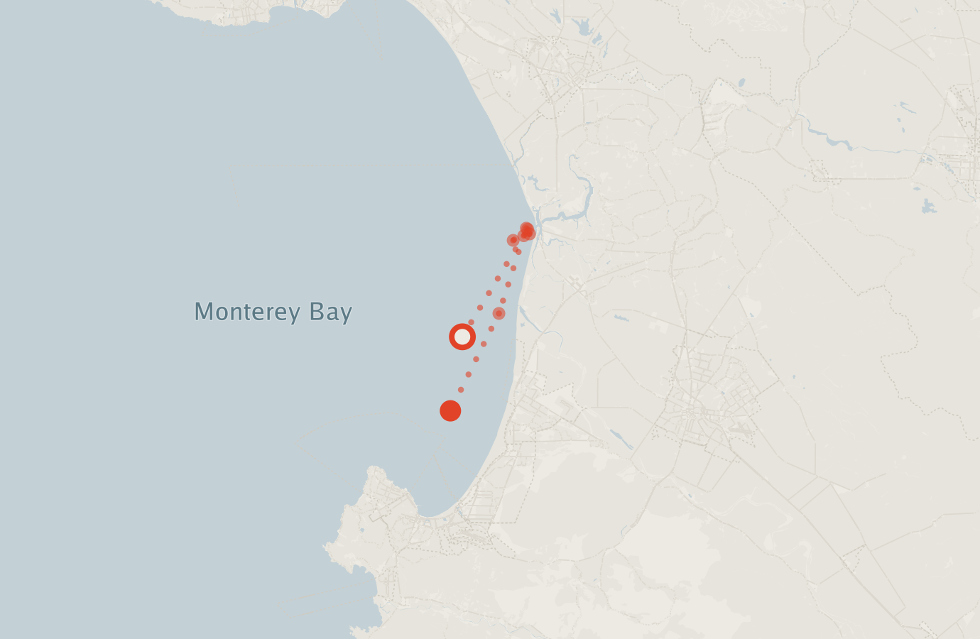 Activity map — real sighting points on an OpenStreetMap basemap