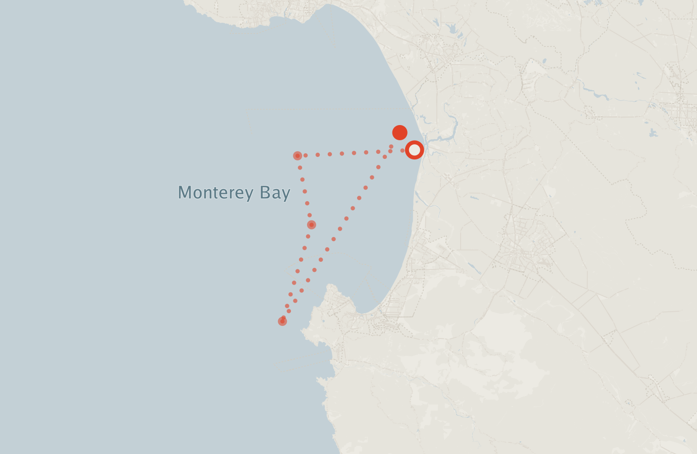 Activity map — real sighting points on an OpenStreetMap basemap