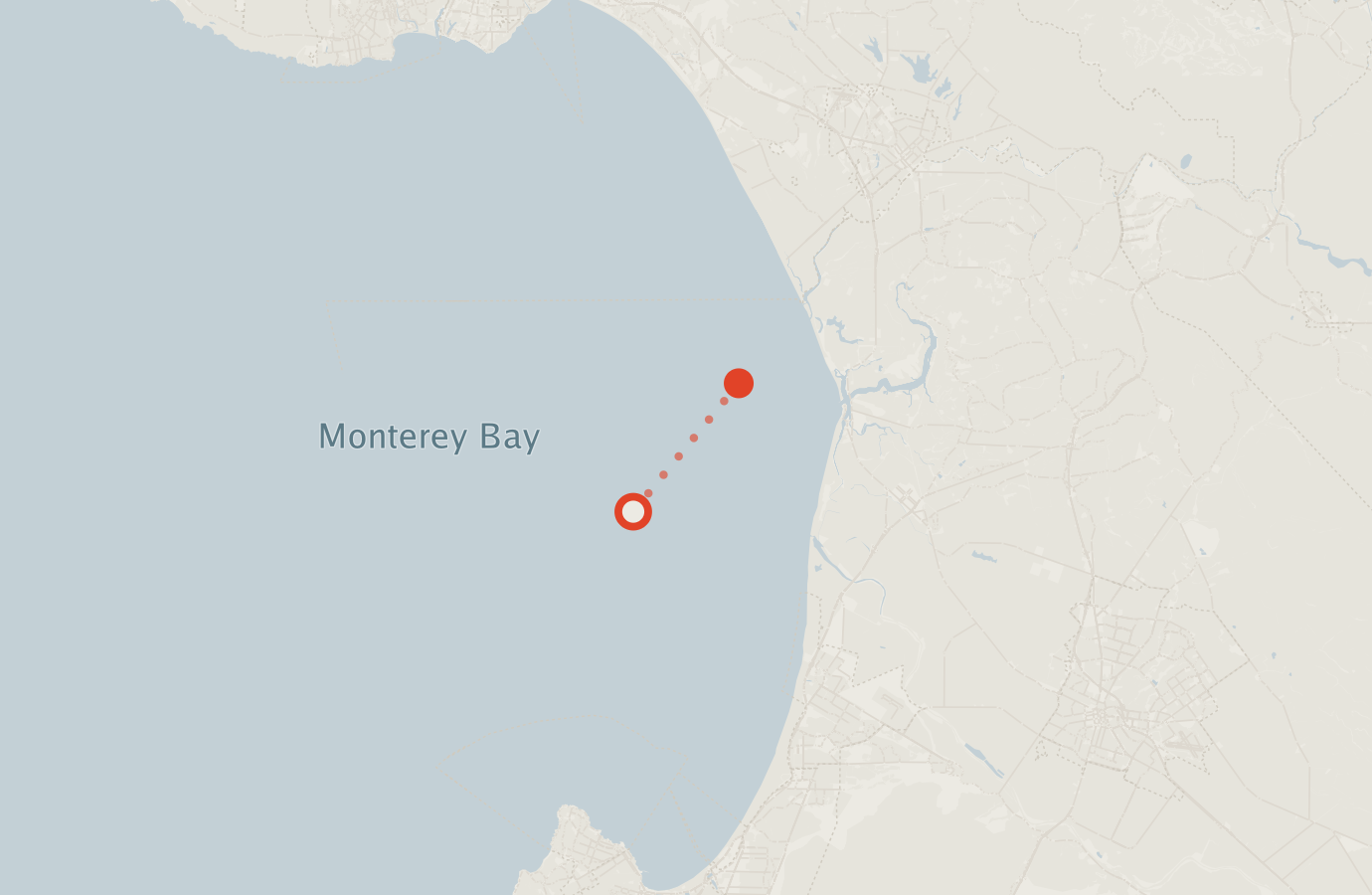 Activity map — real sighting points on an OpenStreetMap basemap