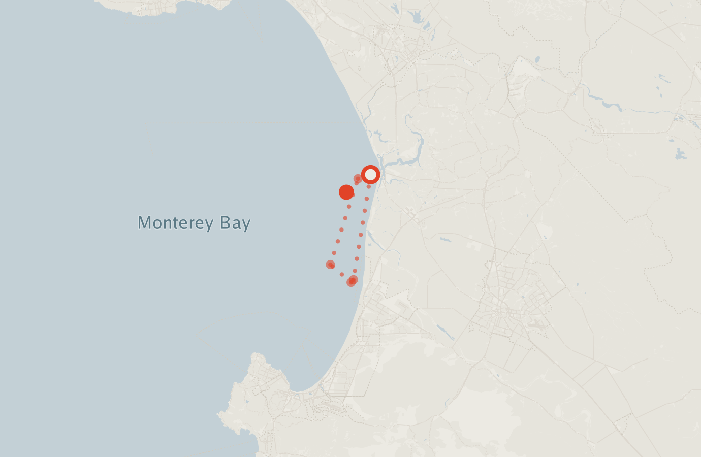 Activity map — real sighting points on an OpenStreetMap basemap